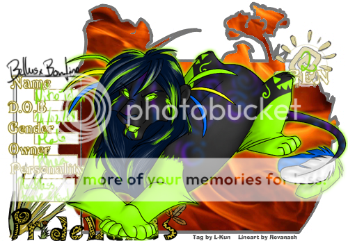 User Image